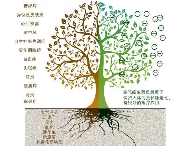 微信图片_20191211092217.jpg