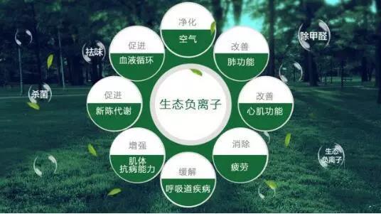 微信图片_20191211092223.jpg