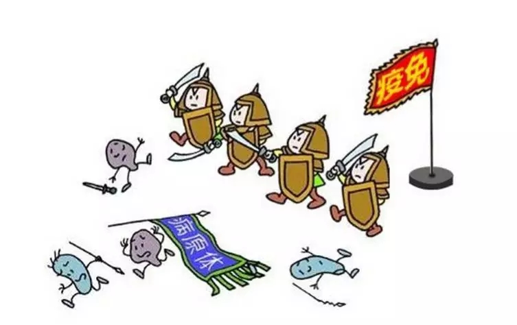 免疫力——新的竞争力!