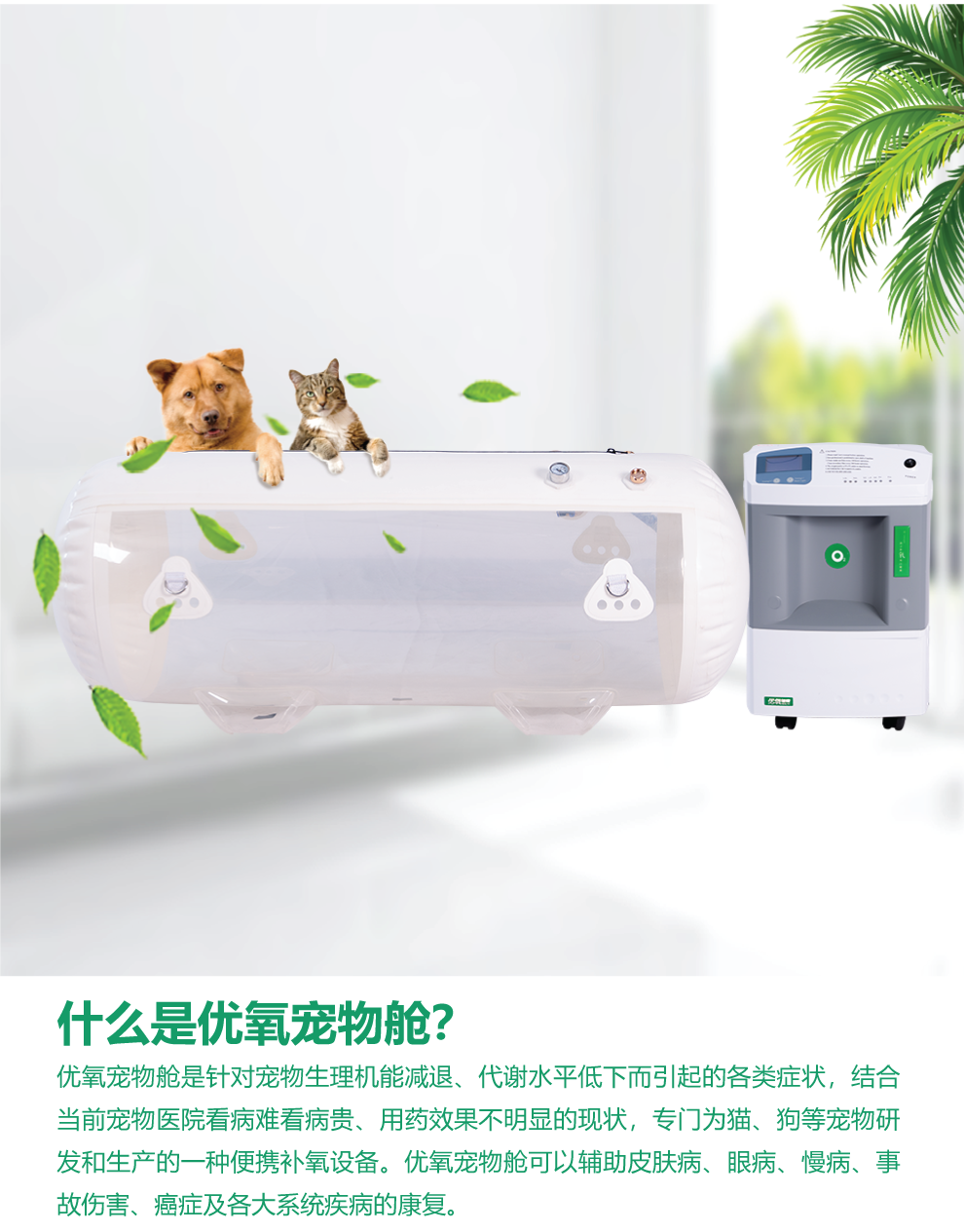 微信图片_20200427124437.png
