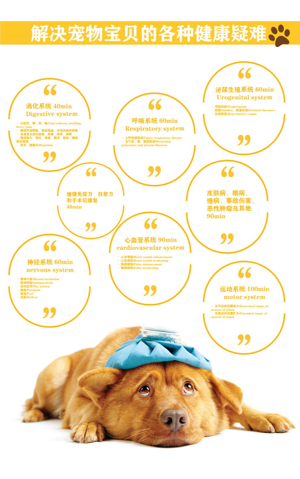 微信图片_20200427124529.png