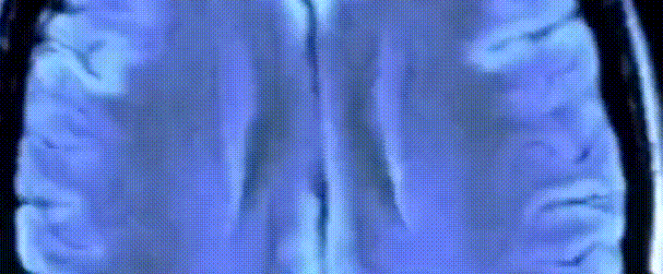 微信图片_20200523155345.gif