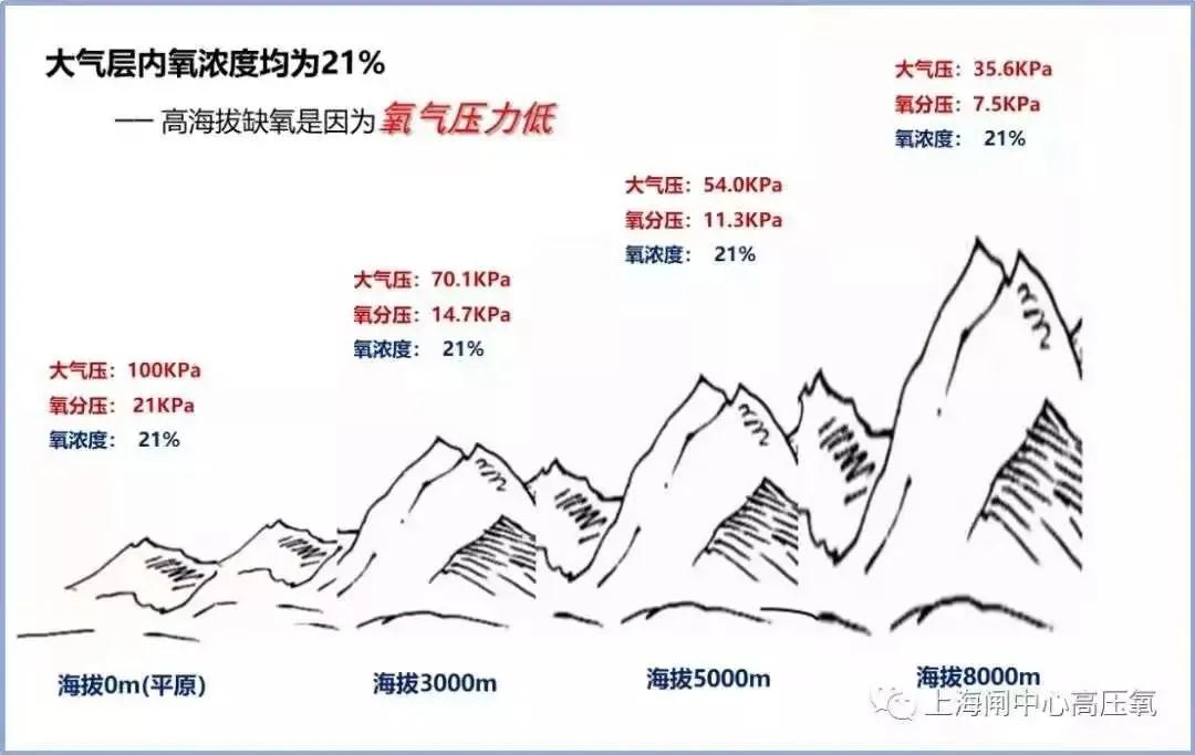 微信图片_20200608144756.jpg