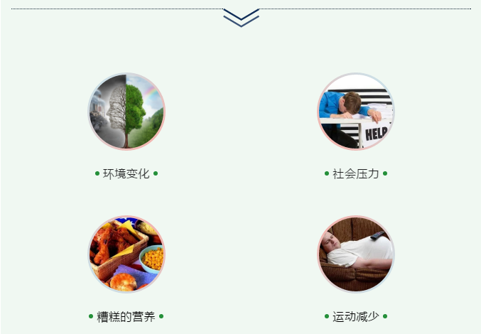 微信图片_20200614134323.png