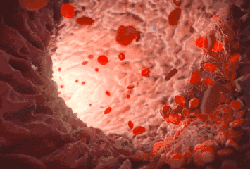 微信图片_20200715133355.gif