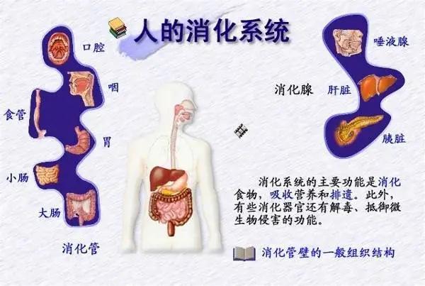 微信图片_20200715133412.jpg