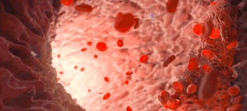 微信图片_20200810132834.gif