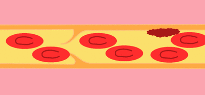 微信图片_20200810132838.gif