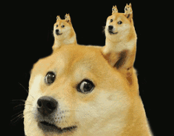 微信图片_20200904091409.gif