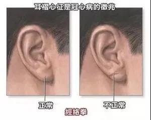 微信图片_20200904091422.jpg
