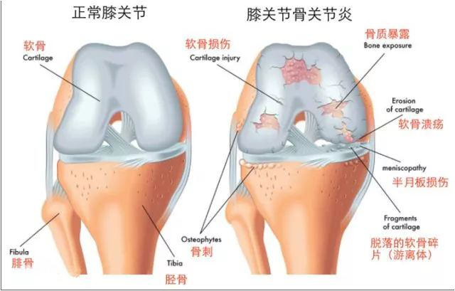 微信图片_20200909084944.png