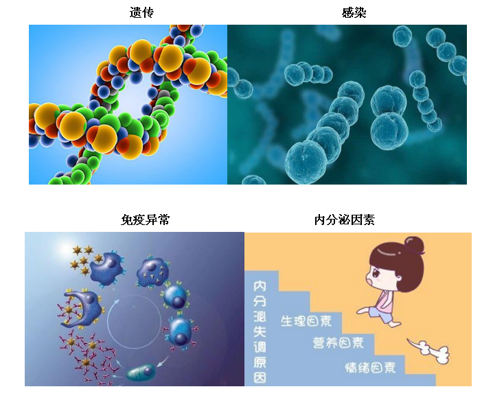 微信图片_20201024101249.png