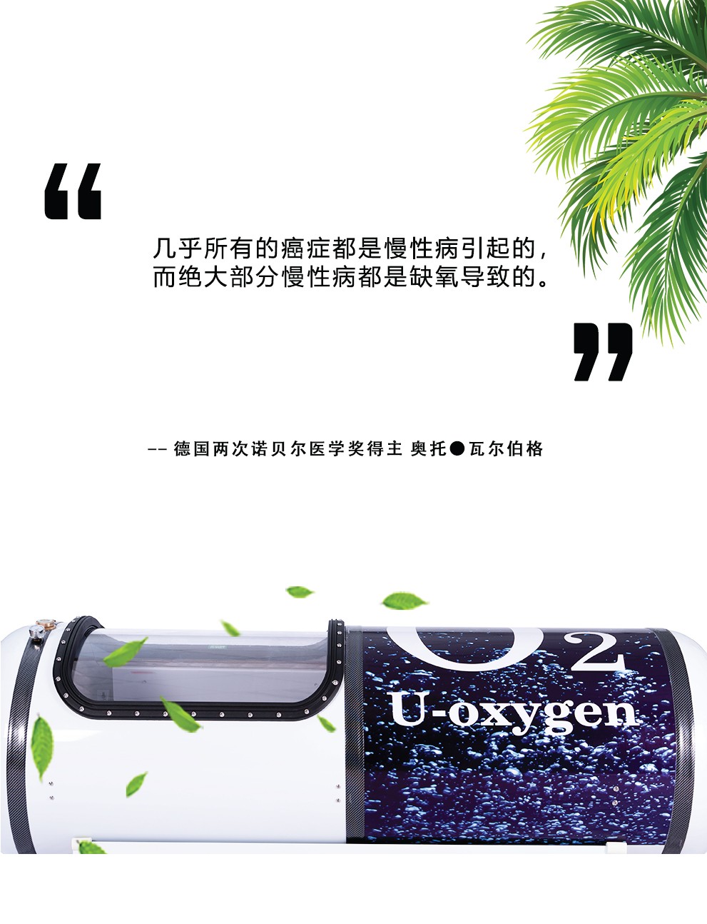 2_01.jpg