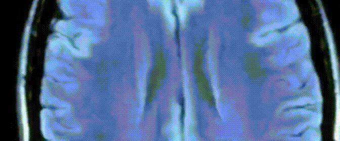 微信图片_20201231230326.gif