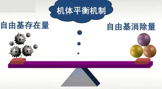 微信图片_20210320131450.jpg