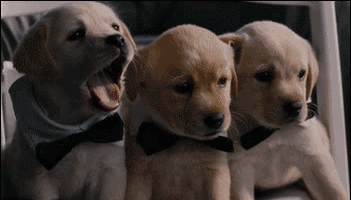 微信图片_20210330112040.gif